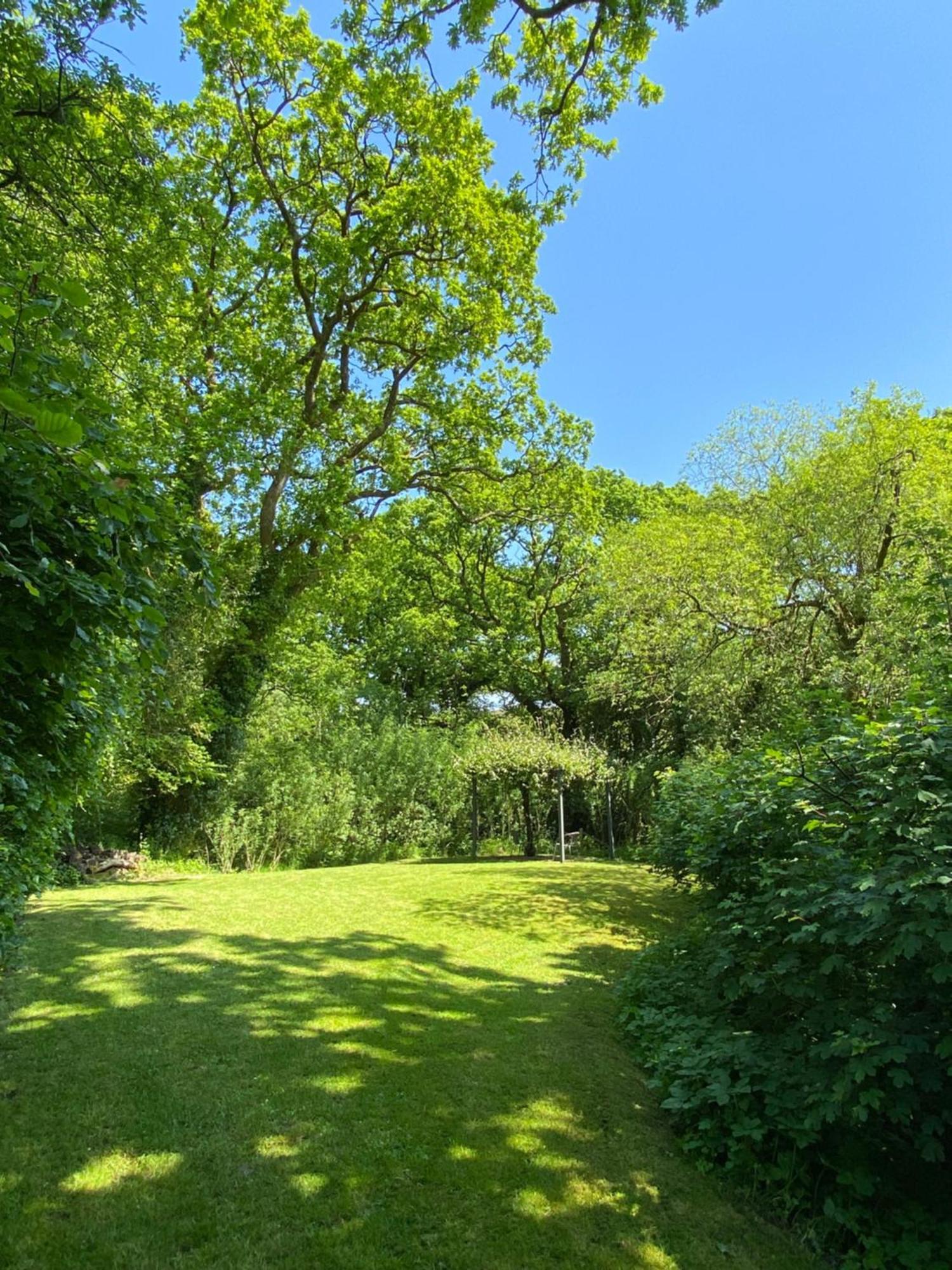 Petrock Holiday Cottages Newton Saint Petrock Szoba fotó